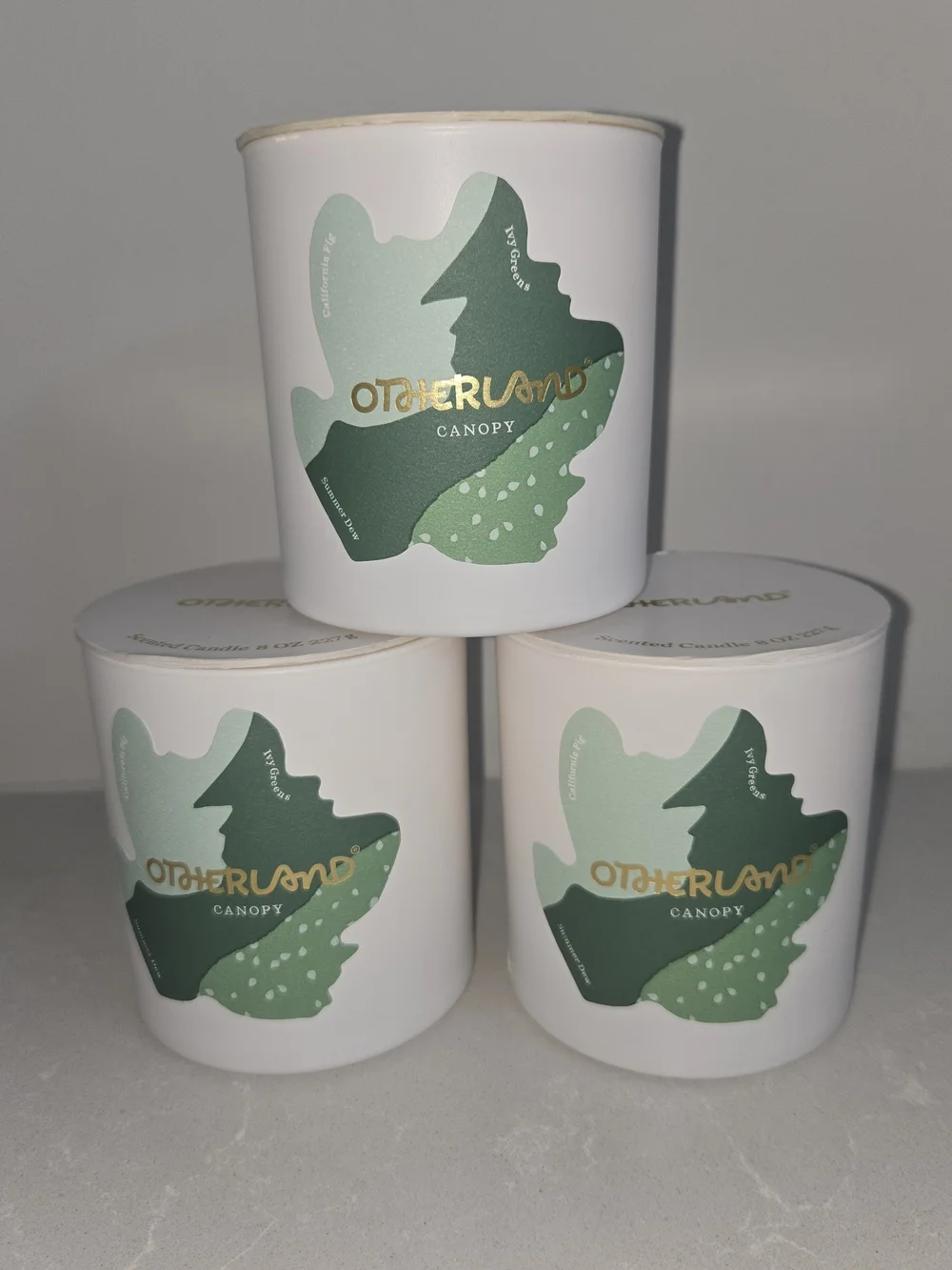 Three (3) Otherland Scent Candles 8 oz Canopy Ivy Fig Summer Dew New